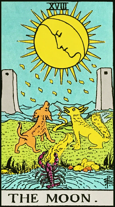 XVIII. Hold